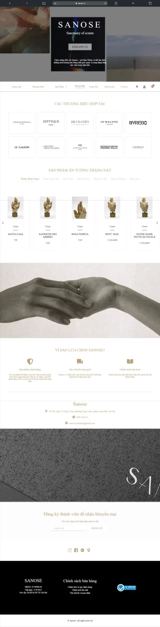 Mẫu Website Sanose – T118